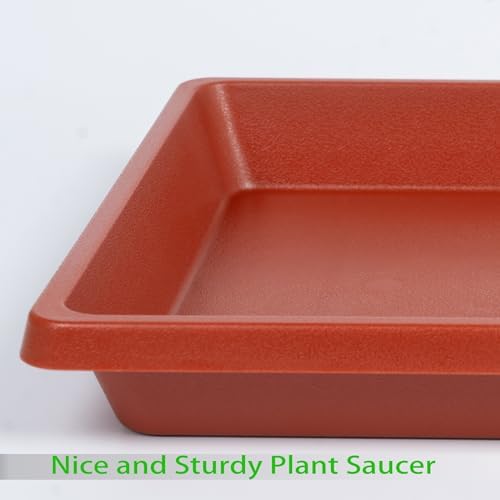 Square Plant Saucer 10 Inch 2 Pack, Plant Drip Trays and Flower Pot Saucers，Doubles Plant Water Catcher Tray, Plant Trays for Indoors No Holes, Plant Drainage Tray Saucers for Potted Plants - Image 3