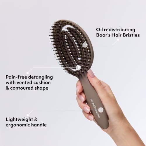 The Boar's Hair Bristle Wellness Brush | Conditions, Detangles, Boosts Scalp Circulation, Lightweight Flexible Design, Vented Cushion, Pain-Free, Helps Dry Damaged Hair (Soft Taupe) - Image 3
