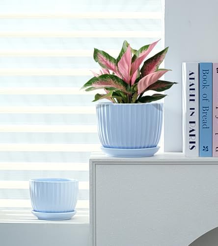 Flower Pots，Ceramic Pots with Drainage Holes & Saucers Set of 3(Sky Blue) - Image 6