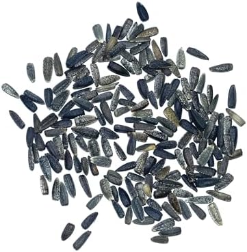 Seed Needs Italian White Sunflower Seeds to Plant Cut Flowers - 5 Packs - Image 4
