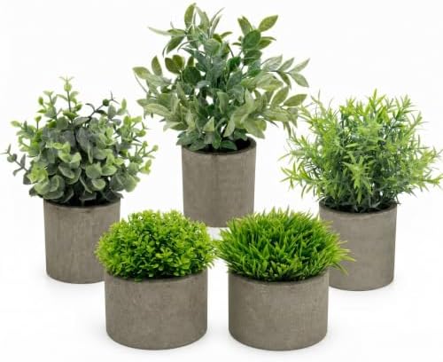AUUGUU Artificial Potted Plants Faux Greenery in Cement Pots for Shelf, Bookshelf, Office or Home Decor, Small Decorative Fake Plants for Modern Indoor Display by AUUGUU