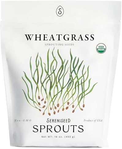 Organic Wheatgrass Seeds (16 oz) – Non-GMO, Heirloom Seeds for Sprouting and Microgreens by Sereniseed