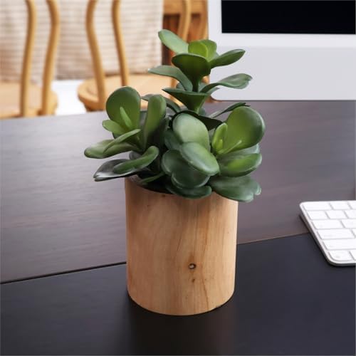 Artificial Succulents Plastic Artificial Green Plant for Office, Home Decor (Set of 3 Succlents in Wooden pots) - Image 5