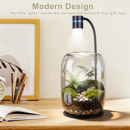 Glass Plant Terrarium with LED Grow Light for Home Office - Image 4