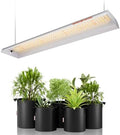 Spider Farmer SF300 LED Grow Lights, Full Spectrum Veg Flower for 2x2.5 ft by SpiderFarmer