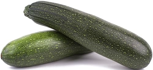 50 Black Beauty Zucchini Seeds for Planting – Heirloom, Non-GMO, USA Grown – Summer Squash (Cucurbita Pepo) – by RDR Seeds by RDRSeeds