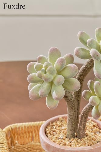 Artificial Succulents in Waterproof and Drop-resistant Pots with 2 Pack - Image 7