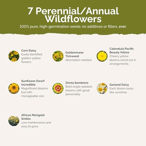 Eden Brothers Mellow Yellow Flower Mixed Seeds for Planting, 1/4 lb, 120,000+ Seeds with Painted Daisy, Zinnia, Cosmos | Attracts Pollinators, Plant in Spring or Fall, Zones 3, 4, 5, 6, 7, 8, 9, 10 - Image 3