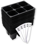 The Hydroponic City Seed Starter Trays, 216-Cell Seedling Starter Trays (36 Trays - 6 Cells Each) + Plant Stakes by TheHydroponicCity