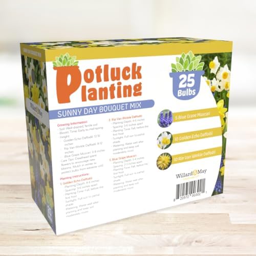 All-in-One Flower Garden Kit - 25 Flower Bulbs Per Box - Potluck Planting Sunny Day Bouquet Mix - Daffodil and Muscari Mix - Fragrant - Naturalizing - Live Outdoor Garden - Easy to Plant Flowers - Image 6