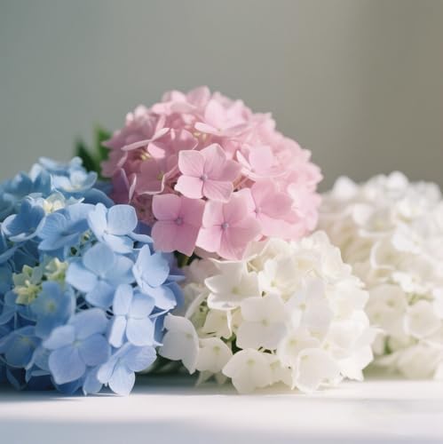 100+ Mix Hydrangea Seeds for Planting Macrophylla Giant Snowball Bonsai Hydrangea Fast Growing Shrub - Image 2
