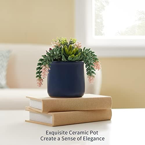 Artificial Succulent in Ceramic Pots, 2 Packs Fake Plants - Image 4