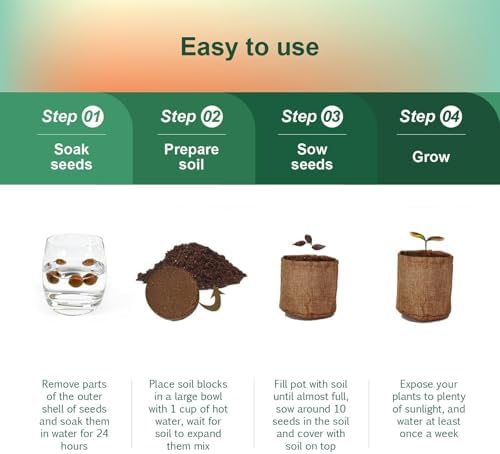 5 Pack Bonsai Tree Kit with Complete Tools, 5X Unique Seeds Bonzai Tree Live Kits, Complete Indoor Bonsai Starter Kit with Wooden Box, Perfect Christmas Garden Gift for Mom, Men, Women, Plant Lover - Image 5