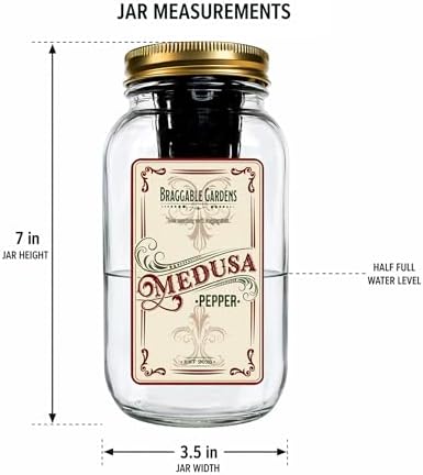 Medusa Pepper Indoor Garden Kit – Mason Jar Hydroponic Pepper Grow Kit – Windowsill Countertop Pepper Plant – Grow Ornamental Chili Peppers Indoors - Image 4
