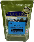 Blue Resilience Lawn Grass Seed Mixture, 1 lb by TwinCitySeedCo
