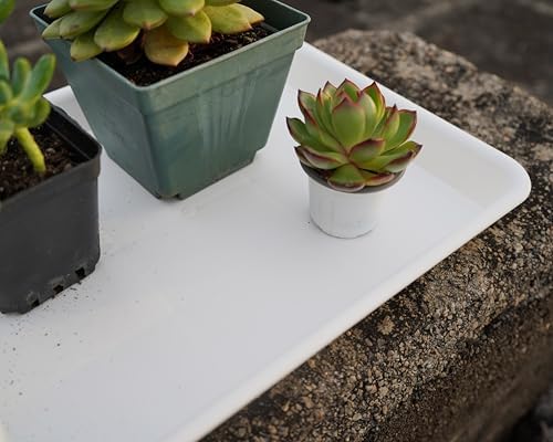 VUWEZ 2 Pack Plant Saucer, Nursery Trays, Heavy Sturdy Seed Starting Tray for Indoors No Holes, Starter Growing Tray (17.5"x10.6", Creamy White) - Image 6
