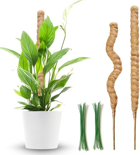 2 Pack Moss Pole,27.6 Inch Moss Poles for Plants Monstera Bendable Plant Stakes for Indoor Coco Coir Pole Climbing Plant Support Stakes for Creeper Plants Grow Upwards by MUYG