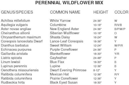 Dirt Goddess Super Seeds~ All Perennial Wildflower Seed Mix (1 LB) 375,000 Seeds - Image 5