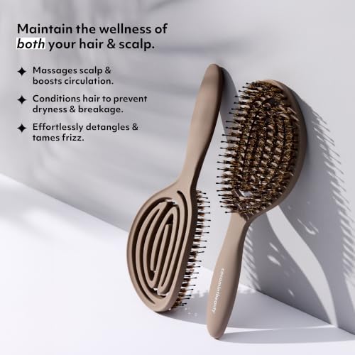 The Boar's Hair Bristle Wellness Brush | Conditions, Detangles, Boosts Scalp Circulation, Lightweight Flexible Design, Vented Cushion, Pain-Free, Helps Dry Damaged Hair (Soft Taupe) - Image 4