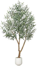 6FT Olive Trees Artificial Indoor - Fake Olive Tree Artificial Plants Indoor Fake Trees with Lifelike Fruits and Realistic Leaves for Modern Home Office Living Room Decor by Unknown
