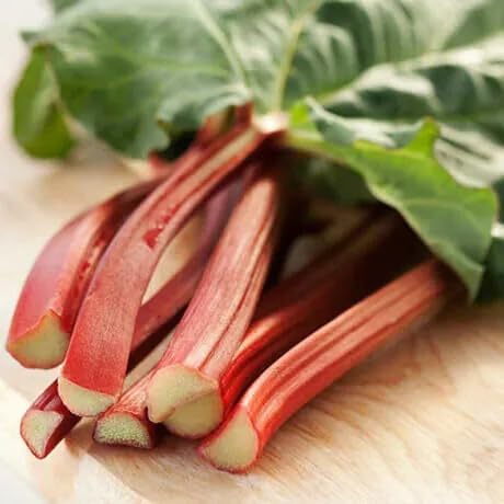 Votaniki Victoria Rhubarb Crown - Perennials, Bulk & Wholesale Rhubarb Crown Ready to Plant | Easy to Grow, Comes Back Every Year (50 Pack) - Image 3
