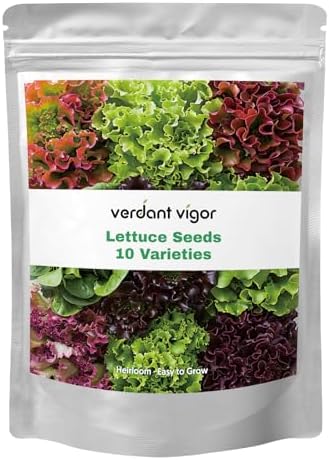 20,000+ Lettuce Seeds 10 Varieties of Fresh Salad Greens by VerdantVigor