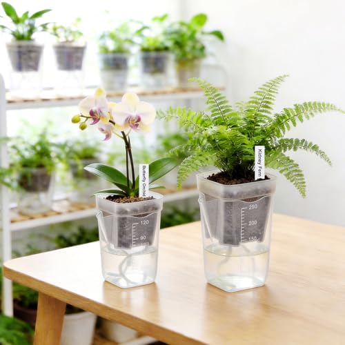 2.5" Clear Self Watering Pots for Indoor Plants,16PCS Mini Plastic Nursery Planters with Water Level Indicator & Drainage Holes for Propagation,Succulents,Seedling,African Violet,Plant Labels - Image 2