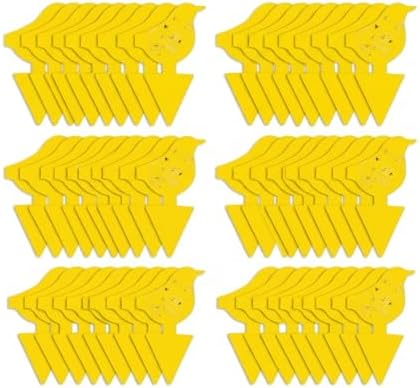 Kate's Home & Garden 60 Count Fruit Fly Traps for Indoors and House by KatesHomeGarden