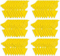 Kate's Home & Garden 60 Count Fruit Fly Traps for Indoors and House by KatesHomeGarden