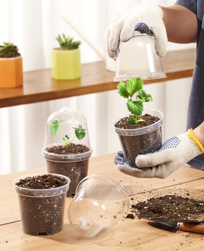 homenote 3 Inch Nursery Pots with Humidity Domes for Seed Starting (30 Pcs) - Image 3