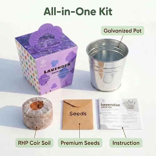 Lavender Grow Kit, All-in-One Indoor Flower Garden Starter Kit with Conical Metal Planter, Complete Growing Set for Gardening Enthusiasts, Windowsill Home Gardening - Image 4