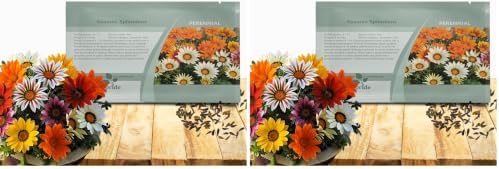 Outsidepride Mixed Gazania Seeds for Planting – 500 Pcs Perennial, Low-Maintenance, Drought-Tolerant Ground Cover Seeds for Vibrant Summer & Fall Flowers, Ideal for Outdoor Gardens (Pack of 2) by Outsidepride