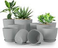 Plant Pots Indoor with Drainage, 10 Pack Multi-Size Planters Set, Grey by UTOPIAHOME