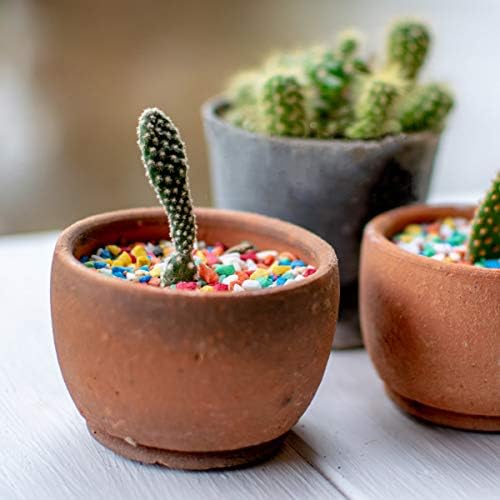 Mini Rainbow Confetti Gravel Pebbles Mix Colored Stones Aquarium Gravel Decorative Colored Garden Sand Succulent Cactus Bonsai Gritty Mix Rocks for Top Dressing, Landscaping, Home Decor 2.2 lbs - Image 5