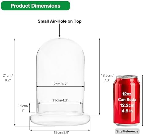 NCYP Glass Cloche Dome with Air Hole and Base, 5.9 x 5.9 x 8.2 Inches - Image 3