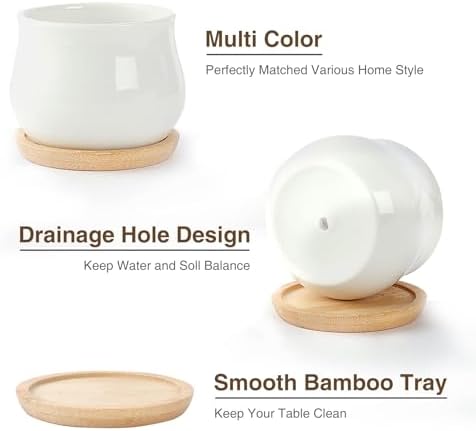 SHECIPIN 2 Pack Succulent Pots, 2.5 Inch Mini Ceramic Pots for Flower or Cactus Plants with Drainage Hole,Plants Not Included (White) - Image 5