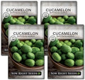 Sow Right Seeds - Cucamelon Seed for Planting Mexican Sour Gherkins 4pk by SowRightSeeds