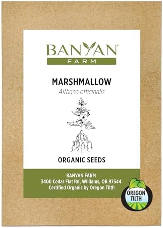 Banyan Botanicals Organic Marshmallow Seeds – Althaea officinalis – Grow Marshmallow Root for Your Home Apothecary or for Marshmallow Root Tea – 50 Count – Open Pollinated Non-GMO Easy-to-Grow by BanyanBotanicals