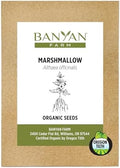 Banyan Botanicals Organic Marshmallow Seeds – Althaea officinalis – Grow Marshmallow Root for Your Home Apothecary or for Marshmallow Root Tea – 50 Count – Open Pollinated Non-GMO Easy-to-Grow by BanyanBotanicals