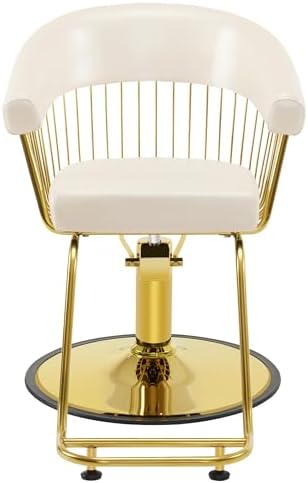 BarberPub Salon Chair for Hair Stylist, Beauty Salon Chair 8677(Champagne) - Image 3