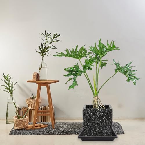 16 Inch 2 Pack Square Plant Saucer, Plant Saucers for Indoors, Large Heavy Duty Plastic Flower Plant Trays for Pots, Under Plant Water Catcher Tray for Potted Plants Outdoors (16"-Black) - Image 6