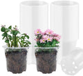 RooTrimmer 4" Clear Seeding Pots 50-Pack Round for Seeds Starting, Seeds Germination Transparent Nursery Pots with Drainage Holes (4Inch,Clear,50Pcs) by RooTrimmer