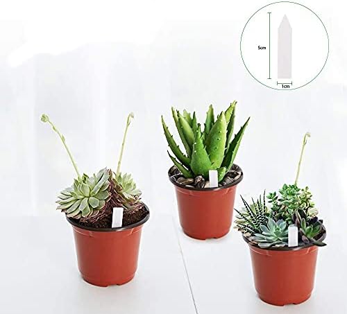 JERIA 100-Pack 4 Inch Plastic Plant Nursery Pots Come with 100 Pcs Plant Labels, Seedling Flower Plant Container and Seed Starting Pots - Image 3