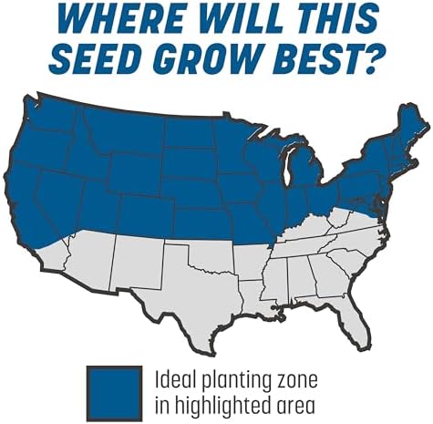 Pennington The Rebels Sun and Shade Grass Seed Mix, 3 Pounds - Image 4