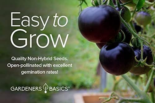 Gardeners Basics, 5 Rare Tomato Seeds for Planting Variety Pack Heirloom Tomato Seeds, Cherokee Purple, Black Krim, Pineapple, Green Zebra, Black Cherry, Determinate and Indeterminate & More, Non GMO - Image 6