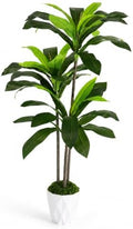 4FT Artificial Dracaena Tree with White Pot, Tall Fake Plants Indoor by Unknown
