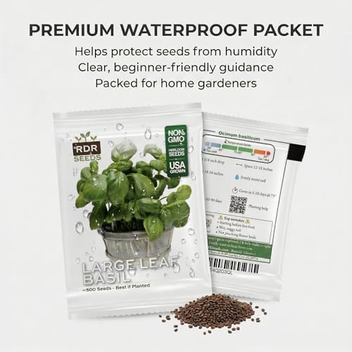 500 Italian Large Leaf Basil Seeds for Planting - Sweet Basil, Broad Aromatic Leaves, Cut-and-Come-Again Heirloom, Non-GMO, USA Grown by RDR Seeds - Image 7