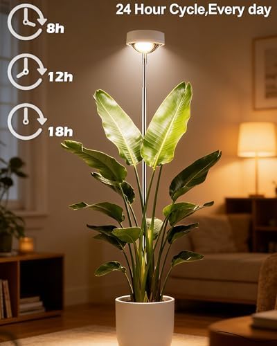 Plant Grow Light, LED Growing Light Full Spectrum for Indoor Plants,White Magnifying Glass Plant Lights,Height Adjustable, Automatic Timer, 5V Low Safe Voltage,Idea for Large - Image 5