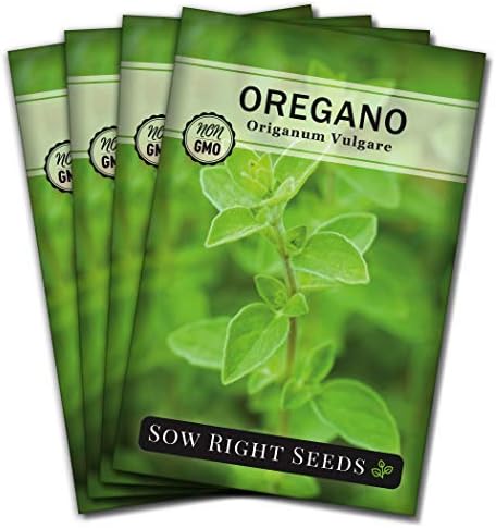 Sow Right Seeds - Oregano Seed for Planting a Perennial Herb Garden 4pk by SowRightSeeds