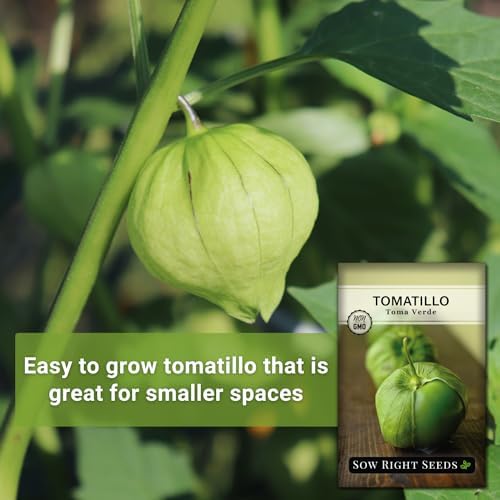 Sow Right Seeds - Toma Verde Tomatillo Seed for Planting Vegetables 3pk - Image 3